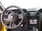 2005 Ford Mustang GT Premium